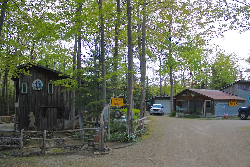 The forest will provide: planting Rural Rootz on the Bruce - Rrampt.
